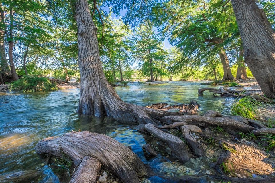 River Bluff Cabins Rio Frio Dış mekan fotoğraf
